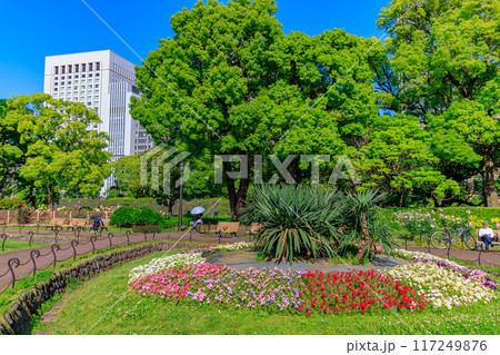 東京　千代田区　春の日比谷公園（第一花壇） 117249876