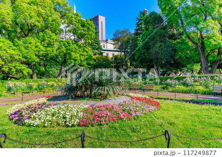 東京　千代田区　春の日比谷公園（第一花壇） 117249877
