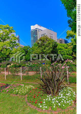 東京　千代田区　春の日比谷公園（第一花壇） 117249881