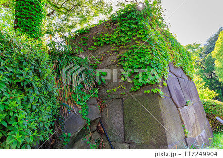 東京 千代田区 春の日比谷公園(日比谷御門跡) 東京 千代田区 春の日比谷公園(日比谷御門跡) 117249904