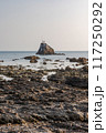 阿久根市の牛之浜景勝地（縦構図広角） 117250292