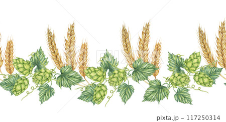 Hops and barley seamless border in watercolor. Green humulus lupulus cones and wheat ears repeating pattern banner for Oktoberfest, St Patrick's day, beer labels, traditional festival clipart 117250314