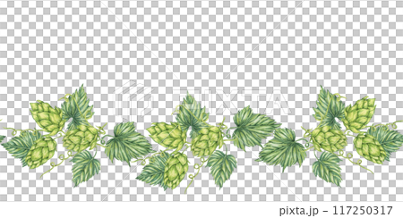Hops and leaves seamless border in watercolor. Green humulus lupulus repeating pattern banner for Oktoberfes, St Patricks day, beer labels, brewery art. Hop cones clipart for festival, flyers 117250317
