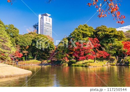 【東京都】小石川後楽園　紅葉 117250544