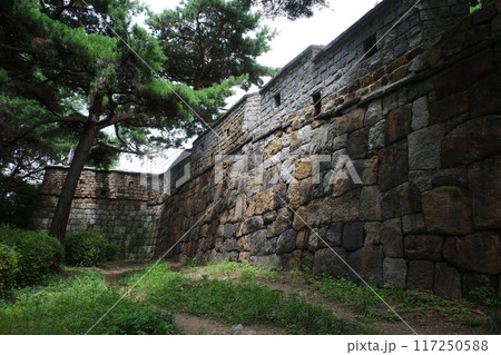 水原華城の山側の城壁の外側 117250588