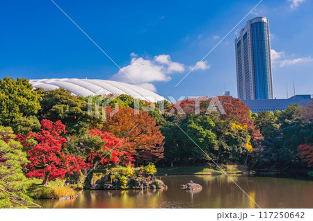 【東京都】小石川後楽園　紅葉 117250642