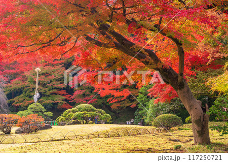 【東京都】小石川後楽園　紅葉 117250721