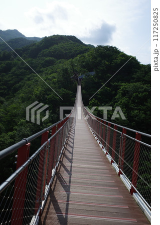 紺岳山の赤い吊り橋 117250825