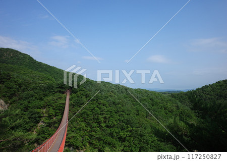 青空に映える紺岳山の赤い吊り橋 青空に映える紺岳山の赤い吊り橋 117250827