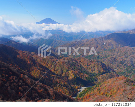 秋の丹沢・塔ノ岳から望む富士 秋の丹沢・塔ノ岳から望む富士 117251034