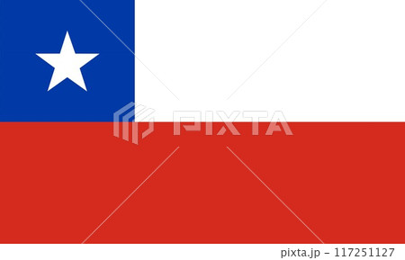 Chile flag national material design Chile flag national material design 117251127