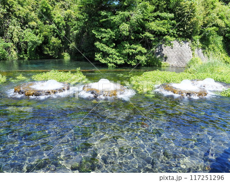 静岡県　富士の湧水の噴出口がある公園　5月 117251296