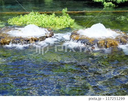 静岡県　富士の湧水の噴出口がある公園　5月 117251299
