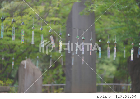 南部風鈴 117251354