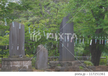 南部風鈴 117251361