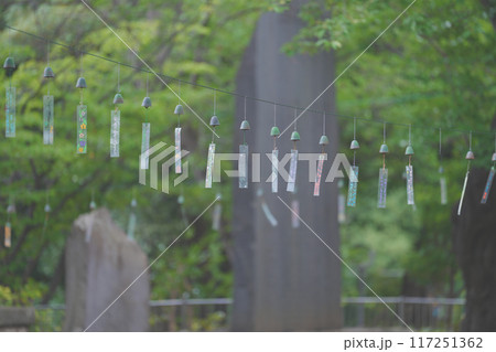 南部風鈴 117251362