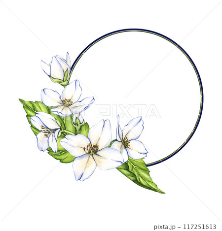 Watercolor floral frame. White flowers jasmine and green leaf branches on white isolated background. Wedding illustration for invites, wallpapers, fashion 117251613