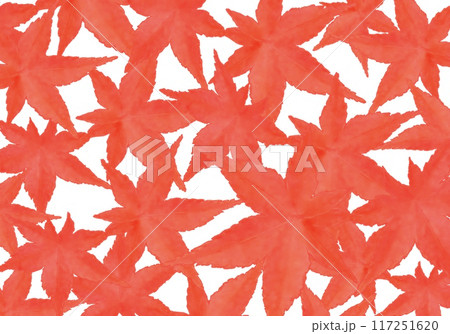 真っ赤な紅葉① 117251620