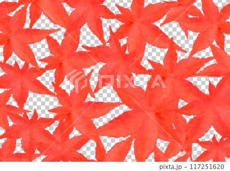 真っ赤な紅葉① 117251620