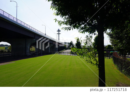 新横浜公園ドッグラン 新横浜公園ドッグラン 117251718