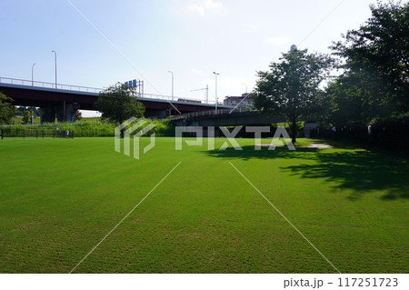 新横浜公園ドッグラン 117251723