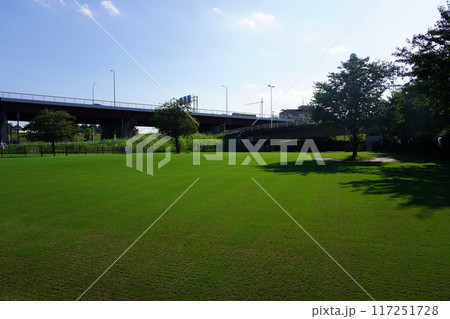 新横浜公園ドッグラン 117251728
