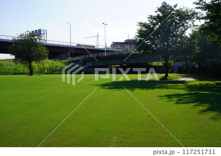 新横浜公園ドッグラン 117251731