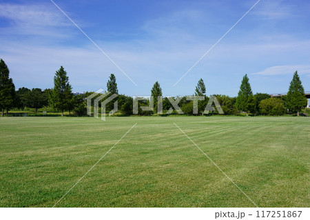 新横浜公園 草地広場 新横浜公園 草地広場 117251867