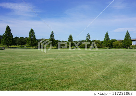 新横浜公園 草地広場 新横浜公園 草地広場 117251868