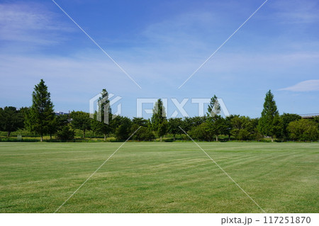 新横浜公園 草地広場 新横浜公園 草地広場 117251870