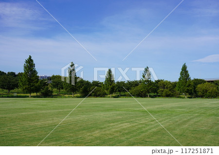 新横浜公園 草地広場 新横浜公園 草地広場 117251871