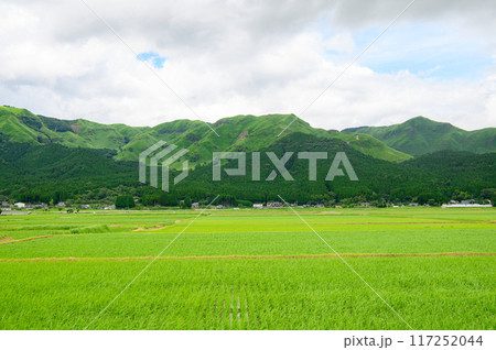 阿蘇の田舎風景 117252044