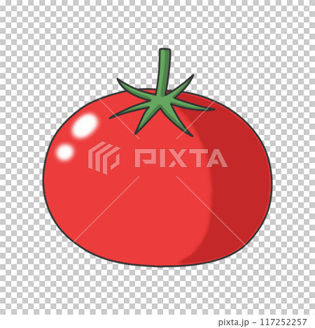 Simple tomato illustration 117252257