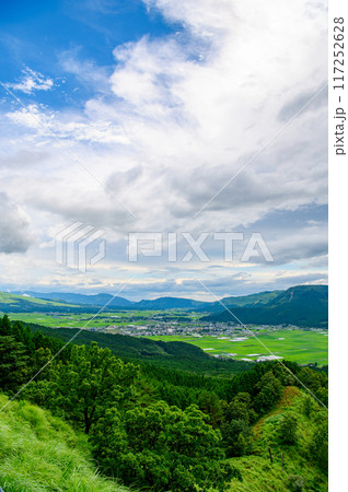 田子山展望所からの景色 田子山展望所からの景色 117252628
