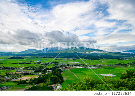 田子山展望所からの景色 117252634
