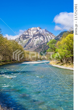 初夏の上高地自然遊歩道 早朝の森林浴ウォーキング 梓川と焼岳(上高地バスターミナル付近) 初夏の上高地自然遊歩道 早朝の森林浴ウォーキング 梓川と焼岳(上高地バスターミナル付近) 117252901
