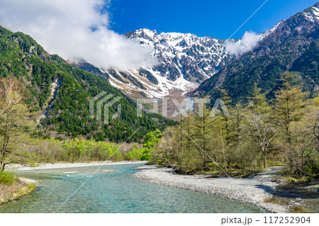 初夏の上高地自然遊歩道　早朝の森林浴ウォーキング　奥穂高岳（河童橋付近） 117252904