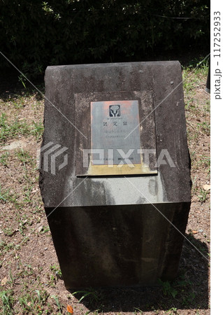 熊本市北区の寂心さんのクス 117252933