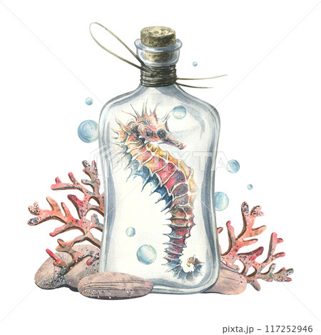 Seahorse, corals, pebbles and bubbles inside a glass bottle with a stopper. Hand drawn watercolor illustration of the underwater world. Composition isolated from the background. 117252946