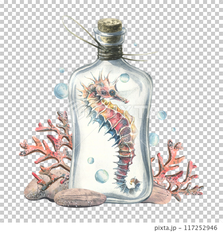 Seahorse, corals, pebbles and bubbles inside a glass bottle with a stopper. Hand drawn watercolor illustration of the underwater world. Composition isolated from the background. 117252946