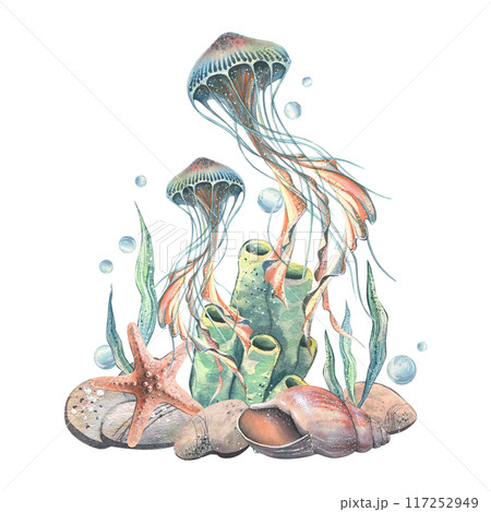 Jellyfish, seashell, coral, starfish, sea sponge, algae, pebbles and bubbles. Hand drawn watercolor illustration of sea animals and the underwater world. Composition isolated from the background. 117252949
