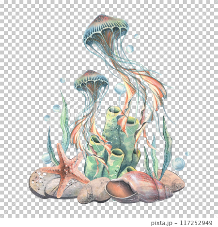 Jellyfish, seashell, coral, starfish, sea sponge, algae, pebbles and bubbles. Hand drawn watercolor illustration of sea animals and the underwater world. Composition isolated from the background. 117252949