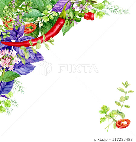 Kitchen herbs template. Rosemary, thyme, chili, basil, mint, bay leaf. Watercolor banner with space for text. Italian cuisine spices, linear composition on white background. Provence plants. 117253488
