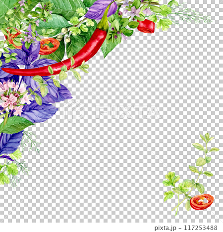 Kitchen herbs template. Rosemary, thyme, chili, basil, mint, bay leaf. Watercolor banner with space for text. Italian cuisine spices, linear composition on white background. Provence plants. 117253488