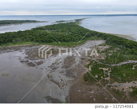 北海道 最後の楽園 野付半島 空撮 ナラワラ 北海道 最後の楽園 野付半島 空撮 ナラワラ 117254081