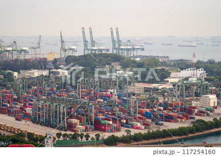 シンガポール、ブラニ島 シンガポール、ブラニ島 117254160