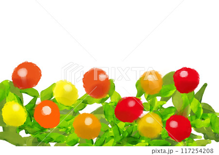 五色唐辛子のカード 117254208