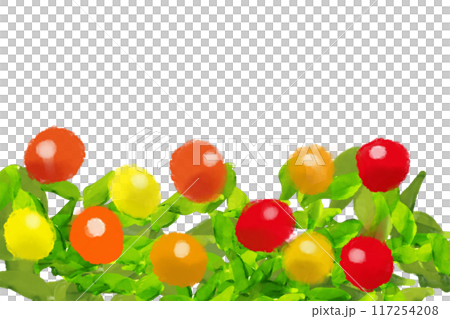 五色唐辛子のカード 117254208