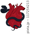 Realistic anatomical human heart squeezed by black snake illustration 117254213