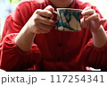 カフェで楽しむ女性 117254341